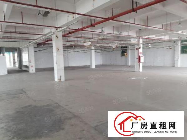  工业园分租二楼3000平方，工业用地消防喷淋，3吨货梯