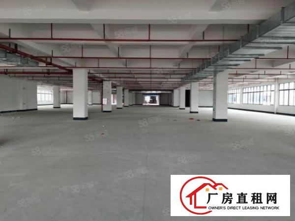  全新红本工业园原房东直租10万平方米智能产业园区5G网络覆