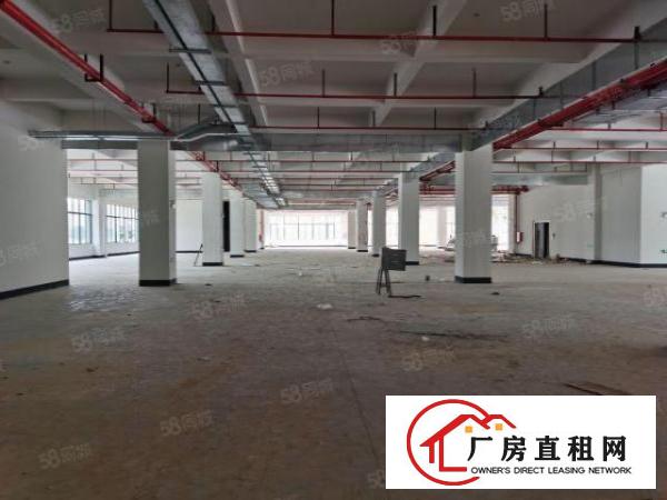  全新红本工业园原房东直租10万平方米智能产业园区5G网络覆