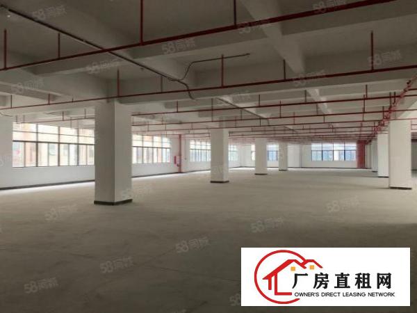  全新红本工业园原房东直租10万平方米智能产业园区5G网络覆