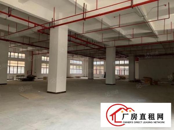  全新红本工业园原房东直租10万平方米智能产业园区5G网络覆