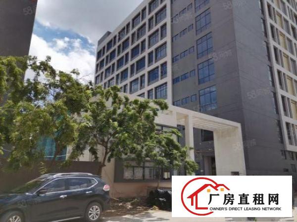 园区有独立综合楼全新厂区消防喷淋齐全首层7米高带牛角