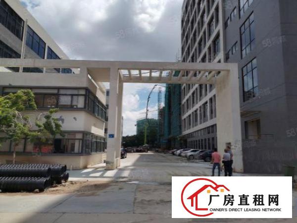  园区有独立综合楼全新厂区消防喷淋齐全首层7米高带牛角