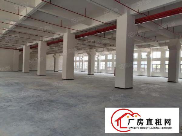 园区有独立综合楼全新厂区消防喷淋齐全首层7米高带牛角