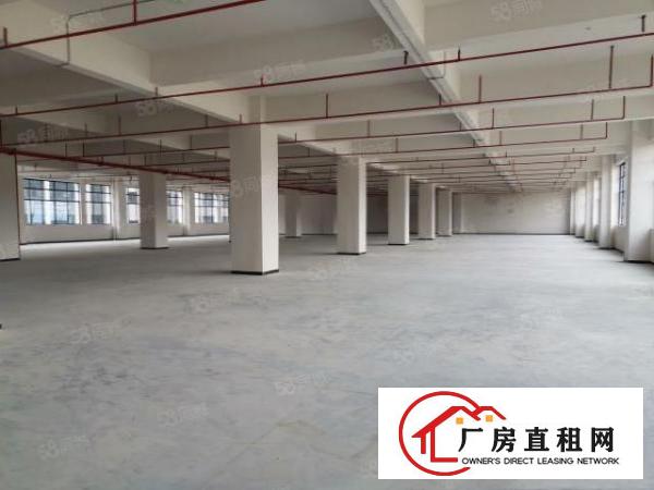  全新厂房独立综合楼首层7米高带牛角位空地超大！形象佳