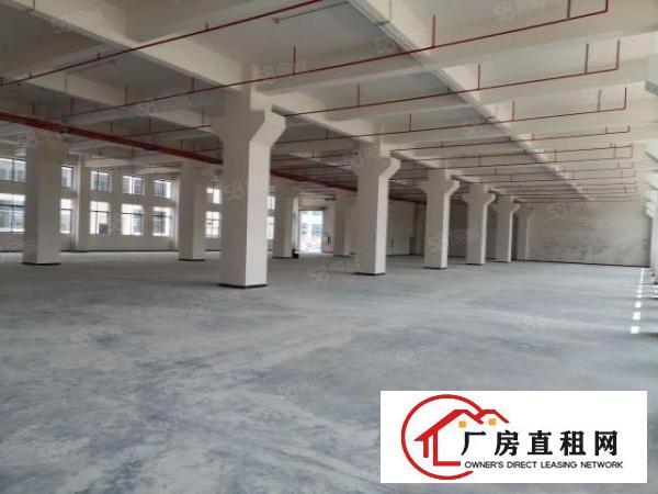  全新厂房独立综合楼首层7米高带牛角位空地超大！形象佳