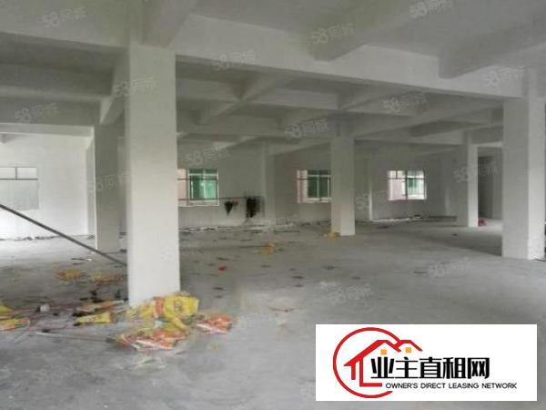  寮步石大路边标准独栋厂房1至3层400平方出租