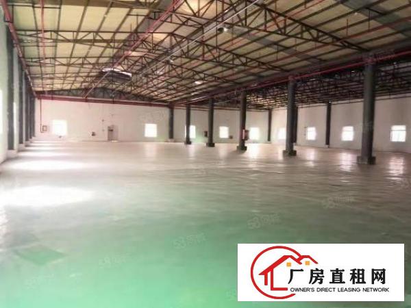  寮步华南城钢构厂房出租2000平方，滴水8米高