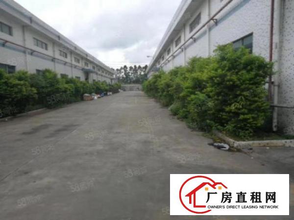  寮步华南城钢构厂房出租2000平方，滴水8米高