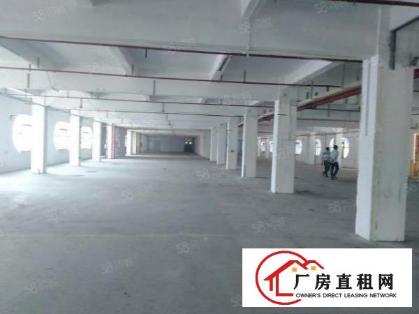  仅租9元！原房东自用厂房分租二三楼，每层1000平方