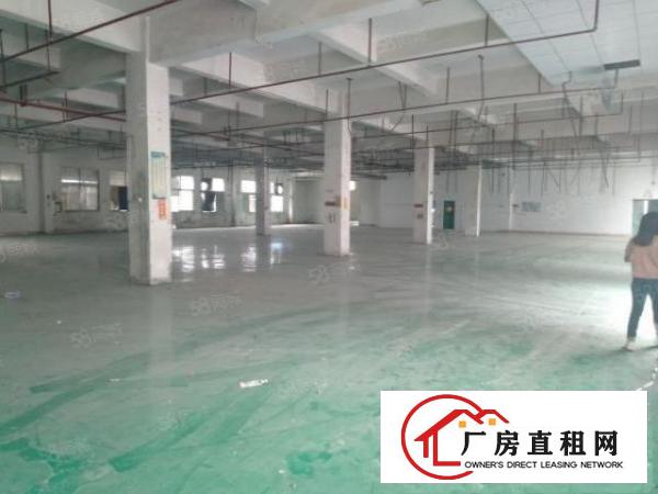  仅租9元！原房东自用厂房分租二三楼，每层1000平方