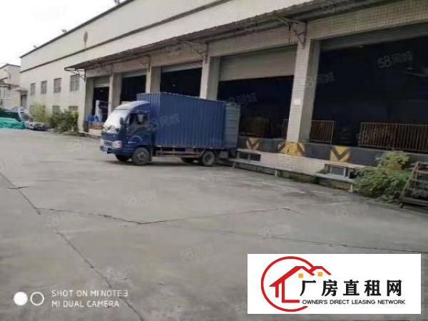  寮步上屯海关8米高单一层钢构厂房出租，共2000平方，房东急