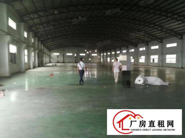  寮步上屯海关8米高单一层钢构厂房出租，共2000平方，房东急