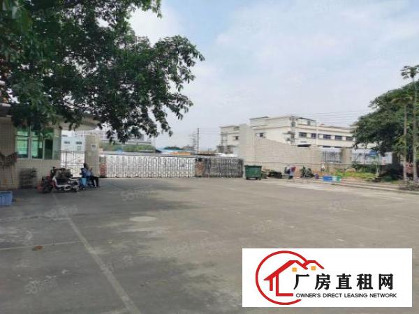  寮步上屯新出原房东独院单一层钢构厂房出租主线到车间交通便利
