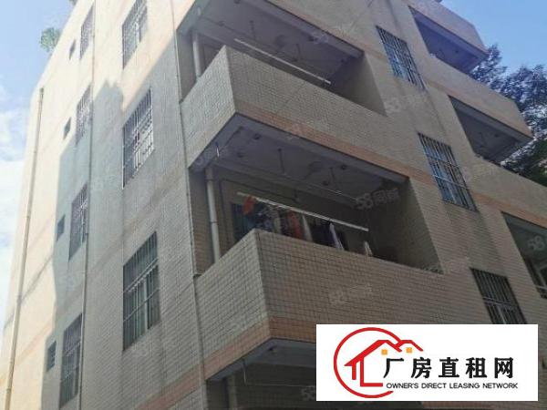  寮步上屯新出原房东独院单一层钢构厂房出租主线到车间交通便利