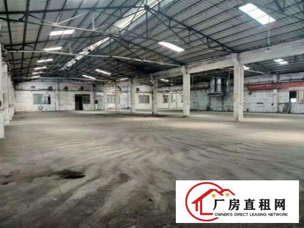  寮步新出原房东独院2000平钢构低价出租交通便利