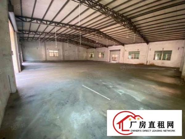  寮步新出原房东独院2000平钢构低价出租交通便利