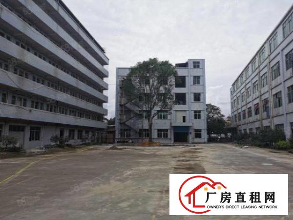  寮步镇工业园区标准厂房出租可分租大路边形象好交通方便可办环评