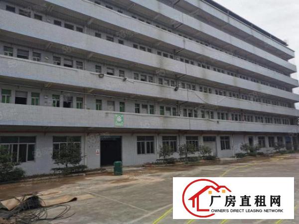  寮步镇工业园区标准厂房出租可分租大路边形象好交通方便可办环评
