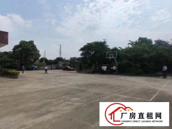  寮步新出原房东独院33000平物流仓实际面积低价出租