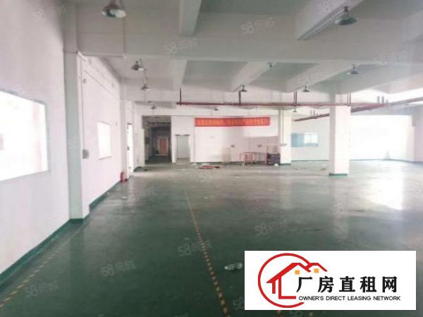  寮步新出原房东一楼1500带装修
