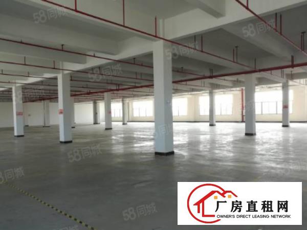  （出租）寮步上屯工业区独院独栋厂房可分租