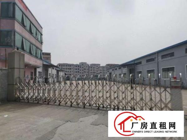  原房东独门独院空地大有办公有宿舍场地带绿化拖头大车小车好进停