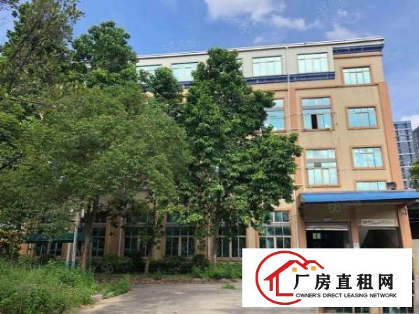  寮步新出原房东独院厂房出租主线到车间办公室装修离高速路口近
