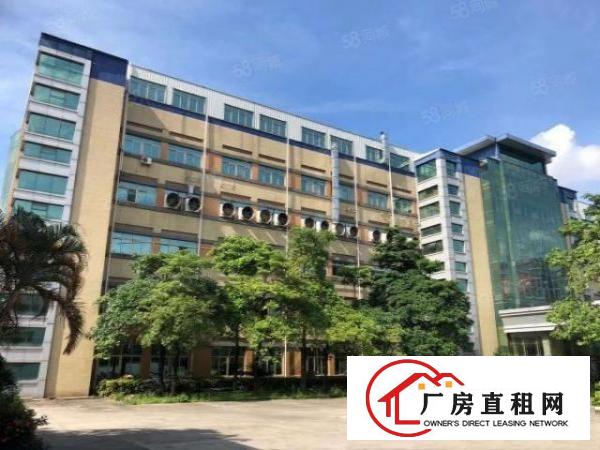  寮步新出原房东独院厂房出租主线到车间办公室装修离高速路口近