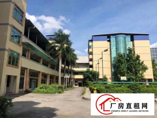  寮步新出原房东独院厂房出租主线到车间办公室装修离高速路口近