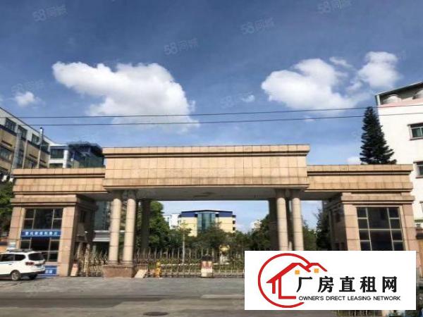  寮步新出原房东独院厂房出租主线到车间办公室装修离高速路口近