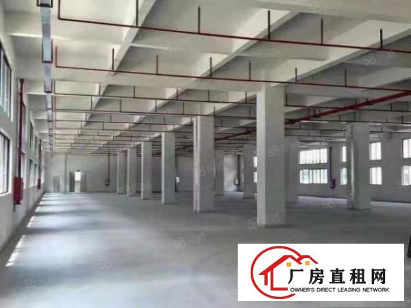  寮步新出原房东独院厂房出租主线到车间办公室装修离高速路口近