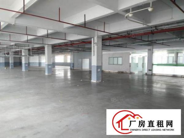  寮步新出原房东独院厂房出租主线到车间办公室装修离高速路口近