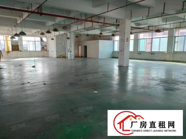  寮步小坑工业区新出独院厂房550平出租，形象超靓，租金12元