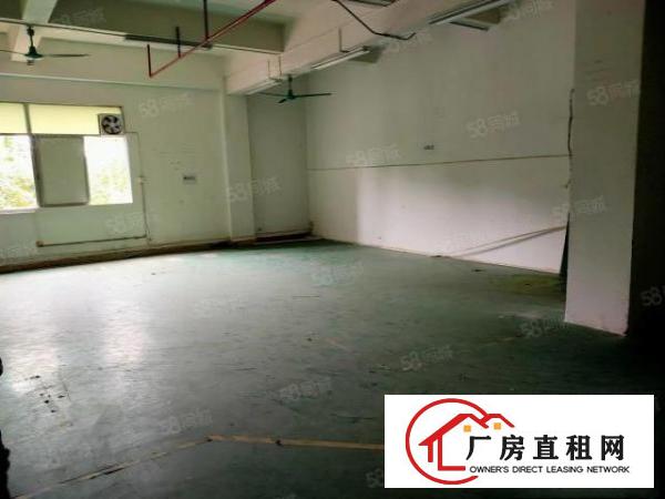  寮步小坑工业区新出独院厂房550平出租，形象超靓，租金12元