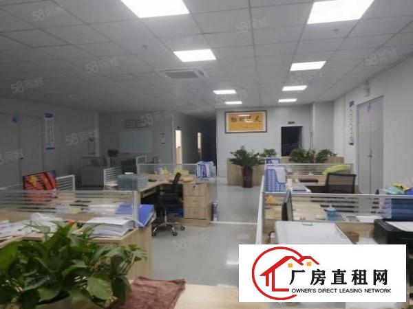  寮步镇富竹山原房东厂房，600平方起租，单价12，交通便