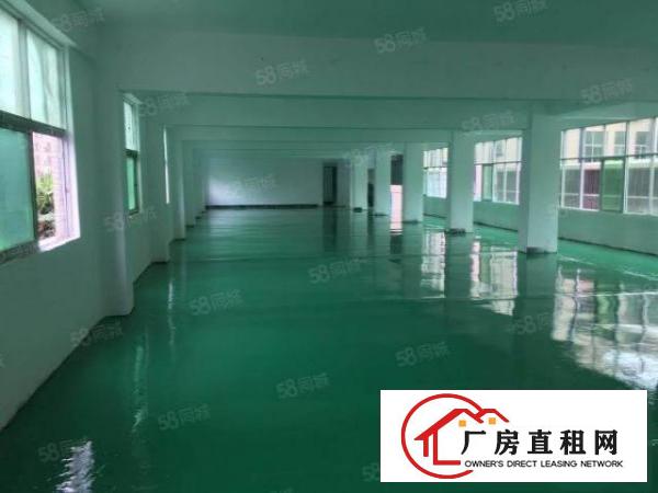  厂房出租原房东独门独院办公室精装修带喷油厂房出租可分租!