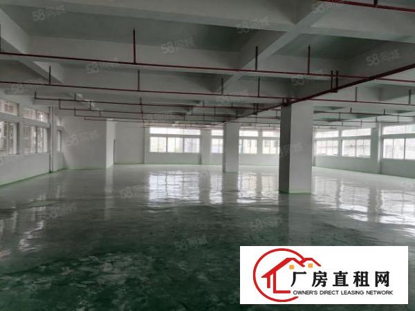  新出工业园1楼分租，可办环评，消防喷淋远离居民区有现成办公室