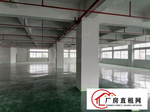  新出工业园1楼分租，可办环评，消防喷淋远离居民区有现成办公室