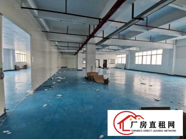 原房东工业园厂房出租中层整层面积1650平方米豪华装修
