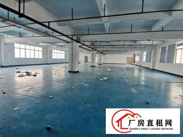  原房东工业园厂房出租中层整层面积1650平方米豪华装修