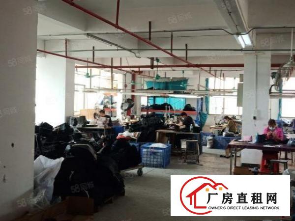  寮步新出工业用地独院厂房，可办环评，可分租，
