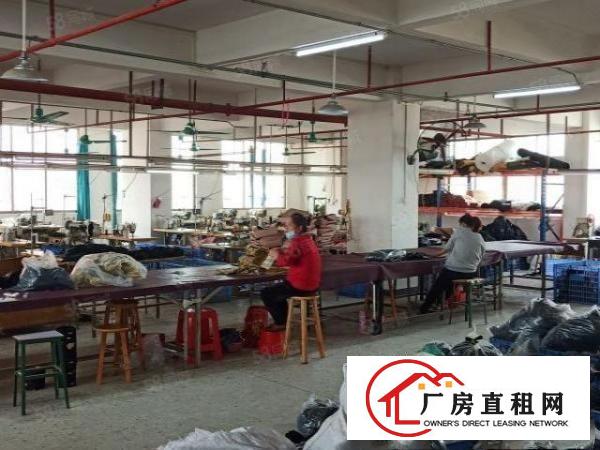  寮步新出工业用地独院厂房，可办环评，可分租，