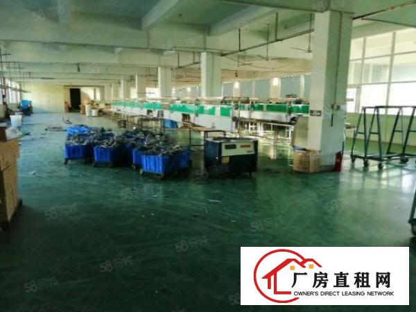  寮步新出厂房750平方出租，11元急租，带现成办公室！
