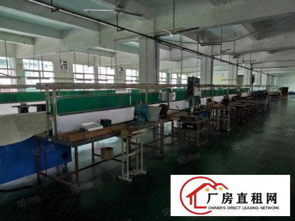  寮步新出厂房750平方出租，11元急租，带现成办公室！