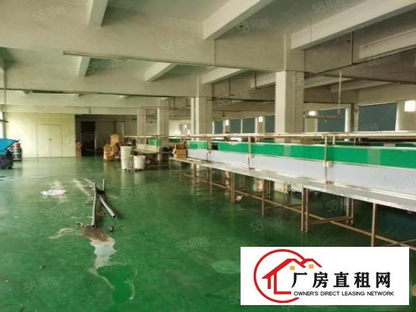  寮步新出厂房750平方出租，11元急租，带现成办公室！