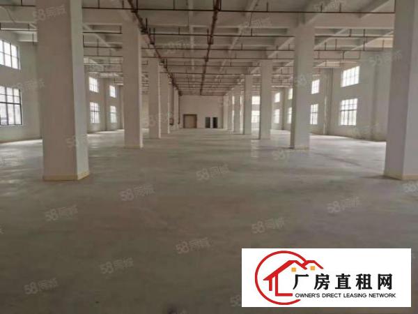  寮步新出原房东厂房一楼1000低价出租