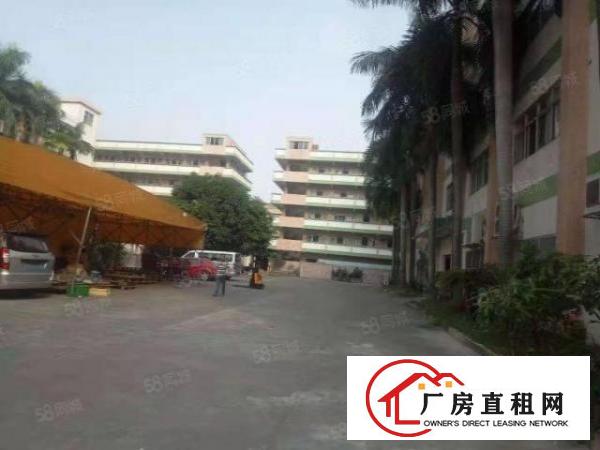  寮步新出原房东厂房一楼1000低价出租