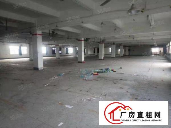  寮步新出原房东厂房一楼1000低价出租