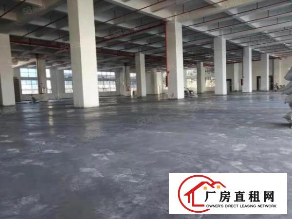  寮步新出原房东厂房一楼1000低价出租